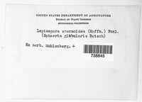 Image Associated With the Occurence